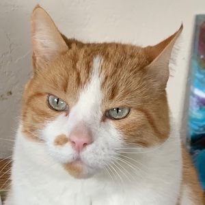 Meet your Posher, Wes